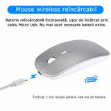 Dual Mouse Bervolo Office, Silver